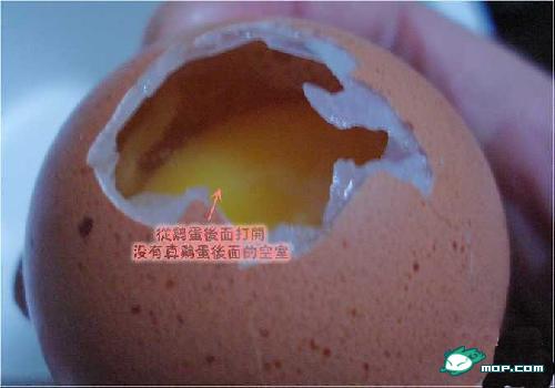 如何分辨真假雞蛋？5個簡單辨假技巧，幫你避坑保健康