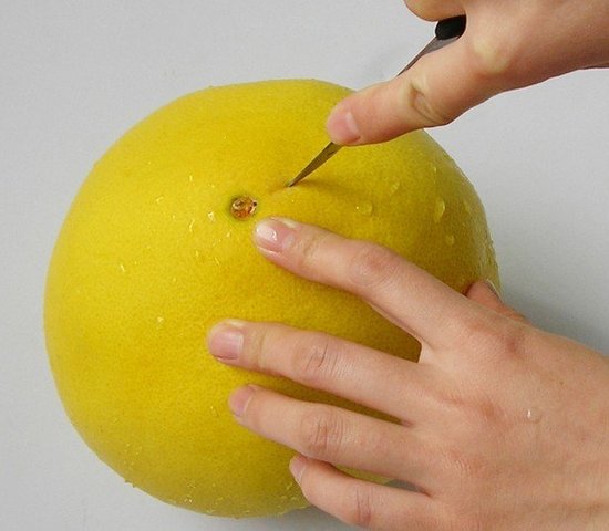 柚子皮的功效与作用 吃完柚子皮别扔掉