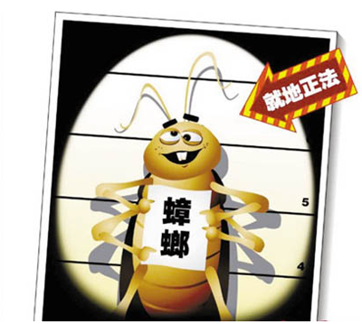 去除蟑螂小妙招 輕鬆掃光家中蟑蟲
