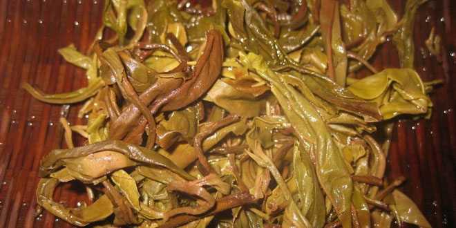 茶葉的妙用：讓茶葉價值最大化實用指南