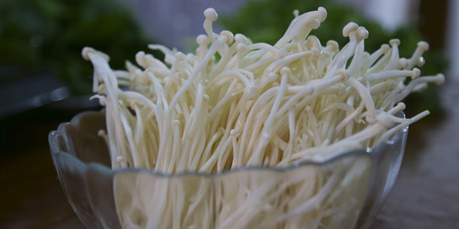 金针菇需不需要洗?金针菇怎麼洗乾淨?