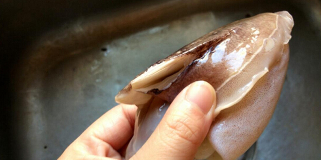 怎麼殺烏賊魚與美味做法全解析