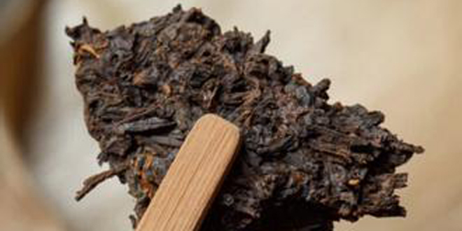 普洱茶保存指南：熟茶与生茶保存方法详解