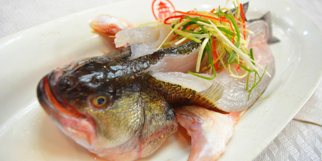 清蒸魚怎麼做才好吃|蒸魚秘籍大公開