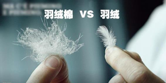羽绒棉与羽绒有何区别?选对羽绒服的技巧大公开