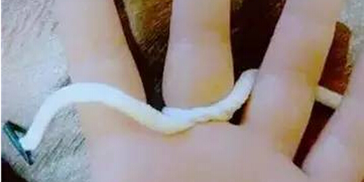 生活中有哪些小竅門:14個最實用且省錢的智慧生活技巧