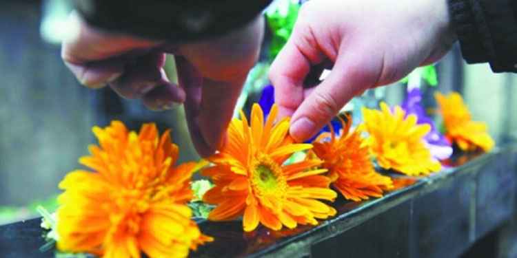 清明節的歷來與習俗：起源、傳統與活動