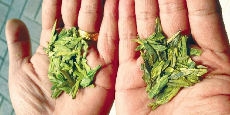 如何分辨新茶陈茶：色泽澄绿汤色澄明，实用鉴别技巧