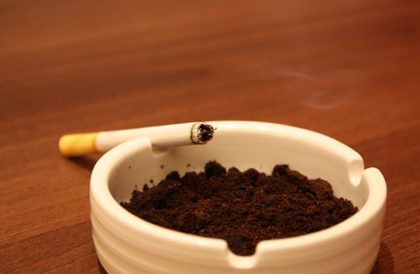 咖啡渣的妙用:10大實用技巧大公開