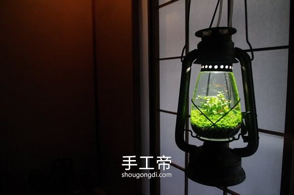 DIY 煤油燈魚缸：手工改造懷舊風水族箱