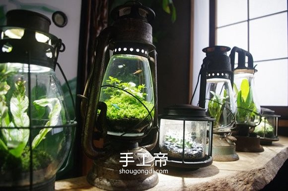 DIY 煤油燈魚缸：手工改造懷舊風水族箱
