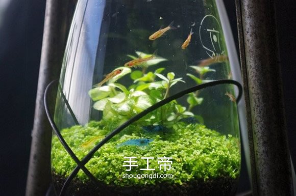 DIY 煤油燈魚缸：手工改造懷舊風水族箱