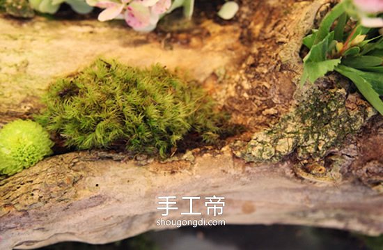 枯木廢物利用DIY插花裝飾 變廢為寶的點綴技巧
