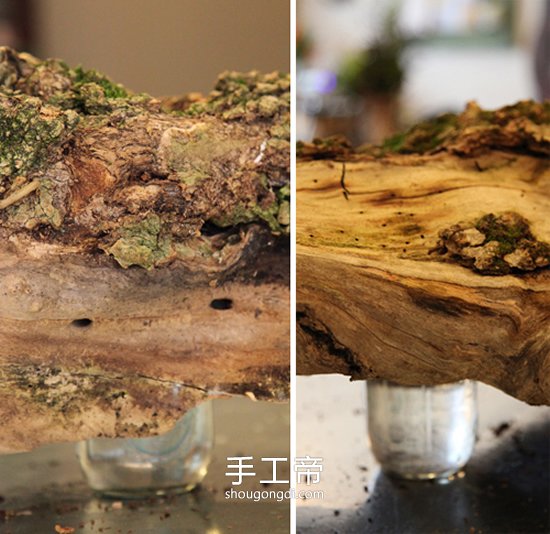 枯木廢物利用DIY插花裝飾 變廢為寶的點綴技巧