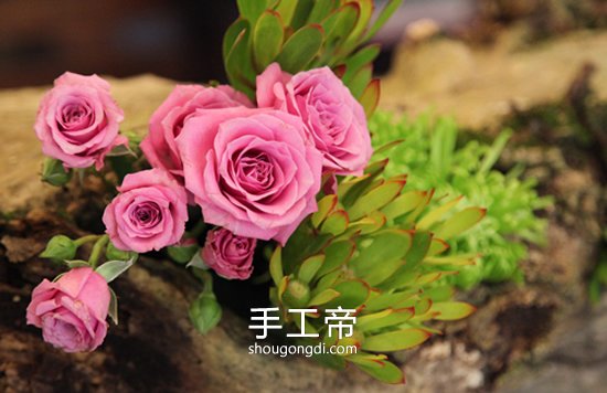 枯木廢物利用DIY插花裝飾 變廢為寶的點綴技巧