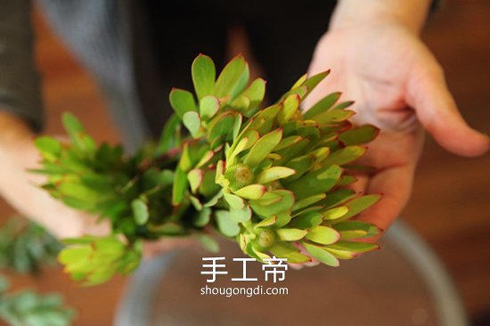 枯木廢物利用DIY插花裝飾 變廢為寶的點綴技巧