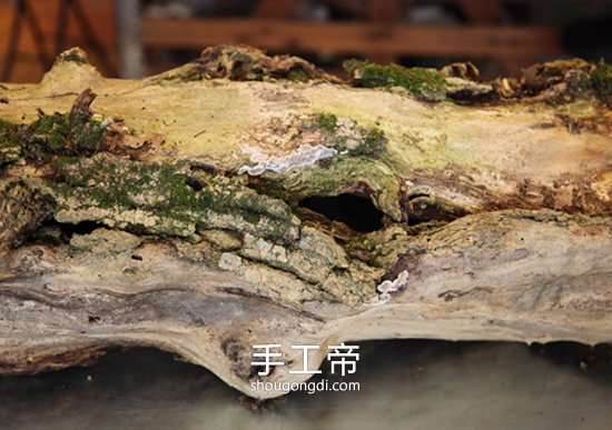 枯木廢物利用DIY插花裝飾 變廢為寶的點綴技巧