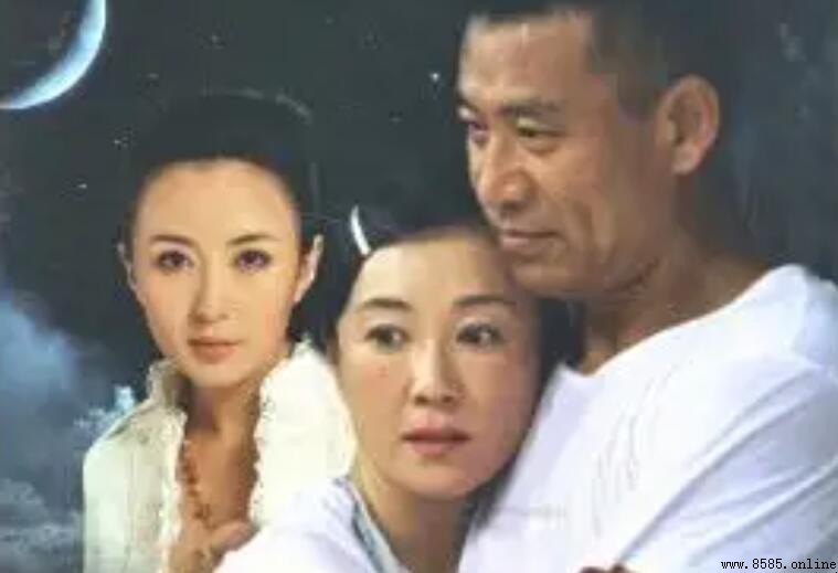 《中國式親情》演員表 《中國式親情》演員表角色介紹