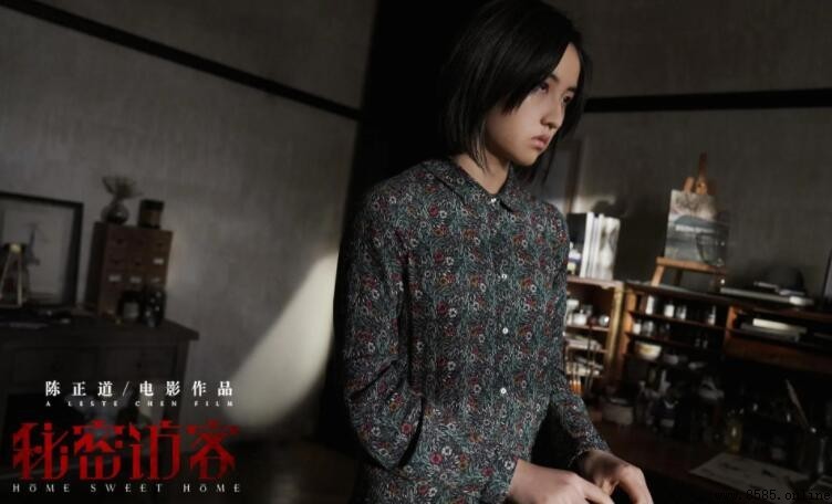 《秘密访客》剧情解析:一场困局与秘密的家庭博弈