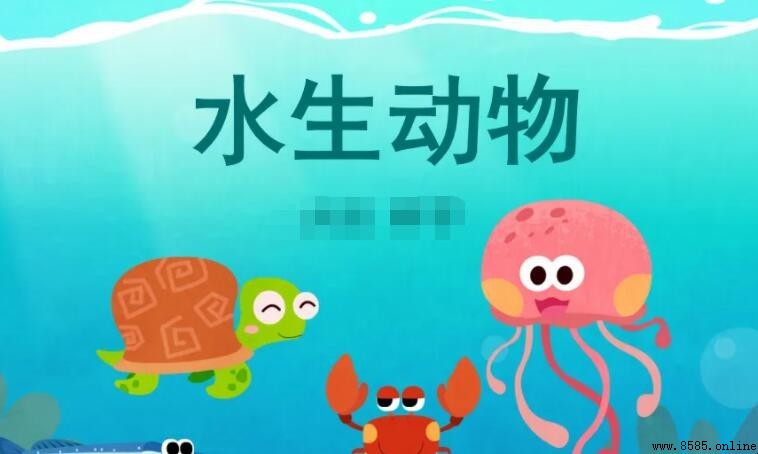 常見水生動物種類介紹