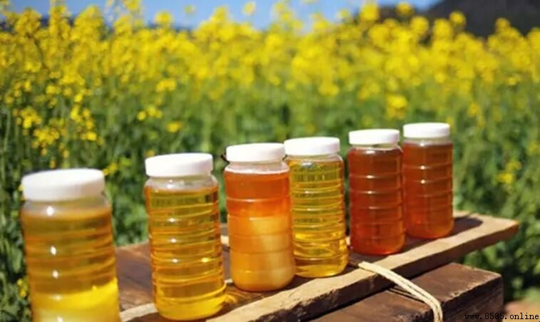 油菜花蜜幾等蜜?解析蜜源等級與產品質量