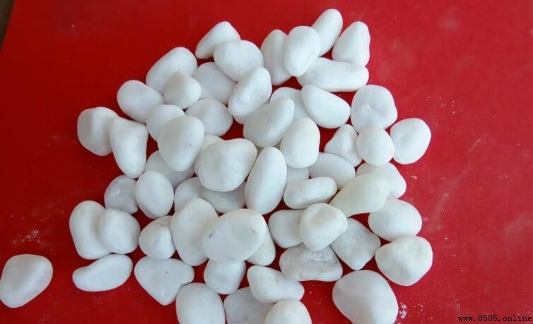 白色石頭是什麼石?解析常見類型與裝飾用途