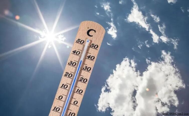 熱相關詞語總覽：炎夏常用詞彙集