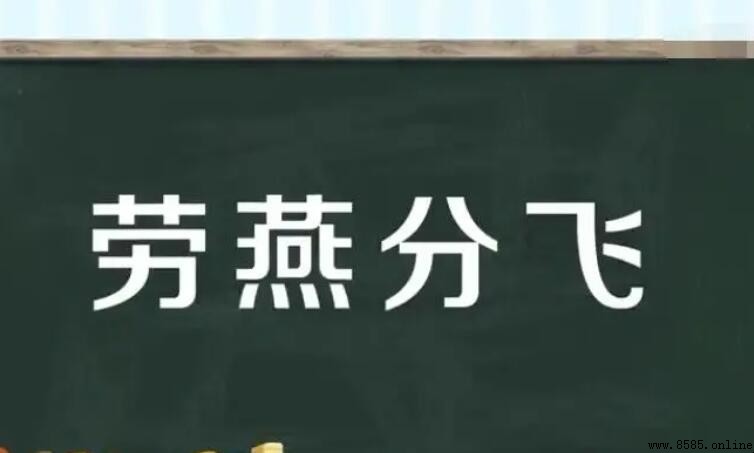 勞燕分飛的近義詞有哪些