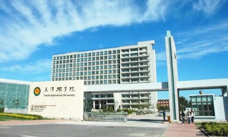 天津農學院是一本還是二本？批次與特色解析