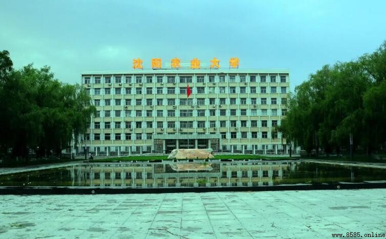 沈陽農業大學是幾本?學校簡介與實力解析