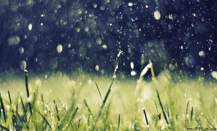 下雨天朋友圈文案精选:15句动人句子