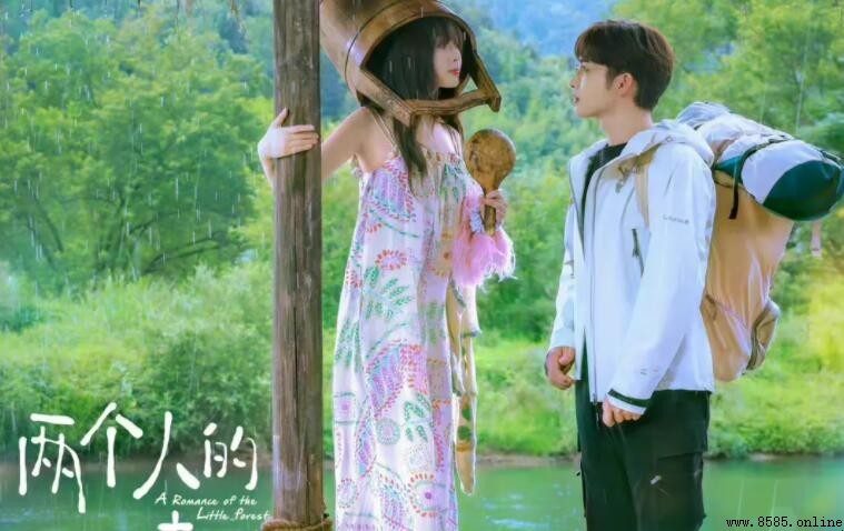 《兩個人的小森林》劇情最終回:角色歸屬與愛情線路總結