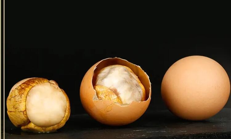 活珠子能否天天食用？專家解析營養與風險