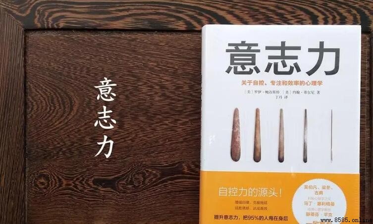 培養意志力的方法有哪些
