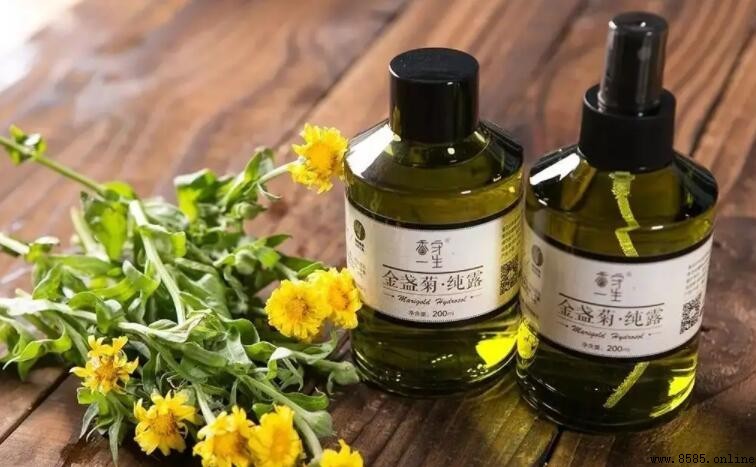 用了純露還需要爽膚嗎？解析純露能否替代爽膚水