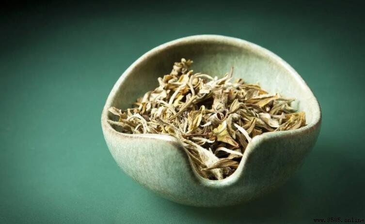 白茶性溫還是寒性？新茶與老茶之間的差異解析
