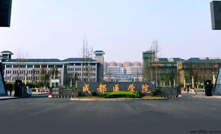 成都醫學院是雙一流大學嗎