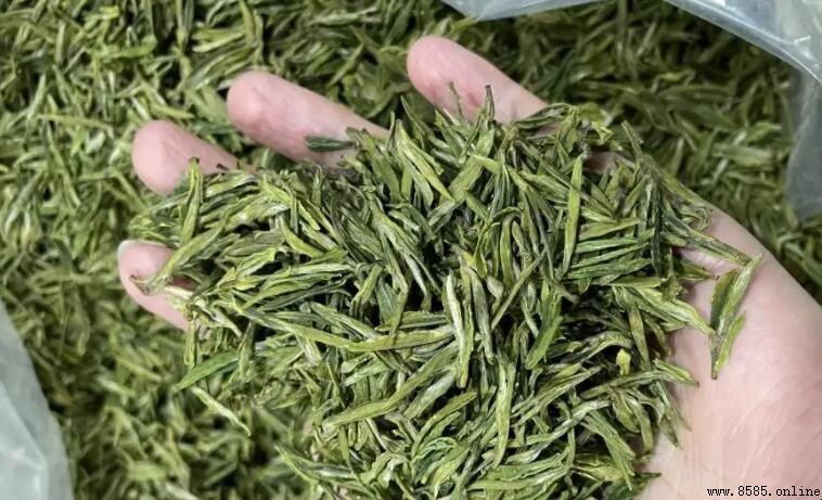 什麼是明前茶?