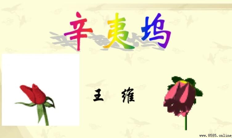 《辛夷坞》原文與大意解析