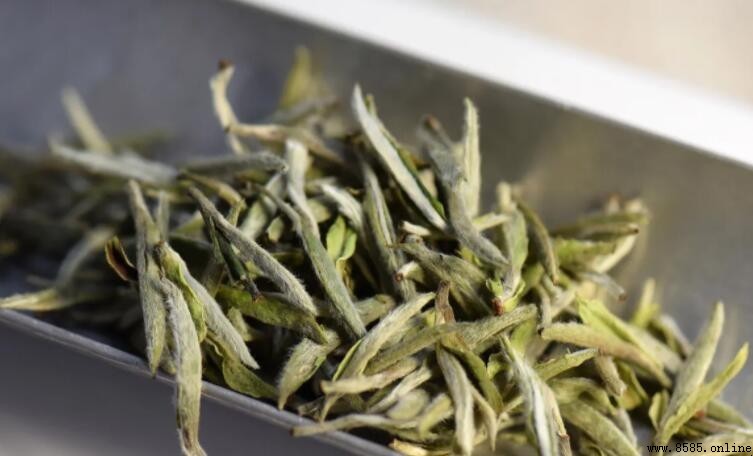 茶毫與發霉的區別：如何辨認新鮮茶葉