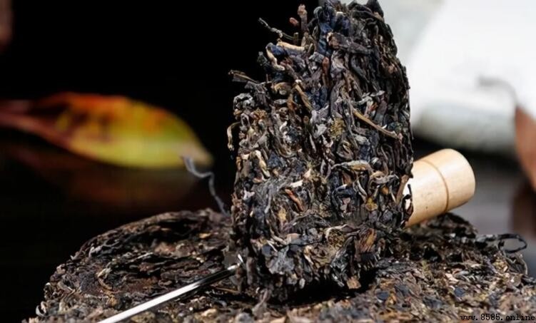 茶毫與發霉的區別：如何辨認新鮮茶葉