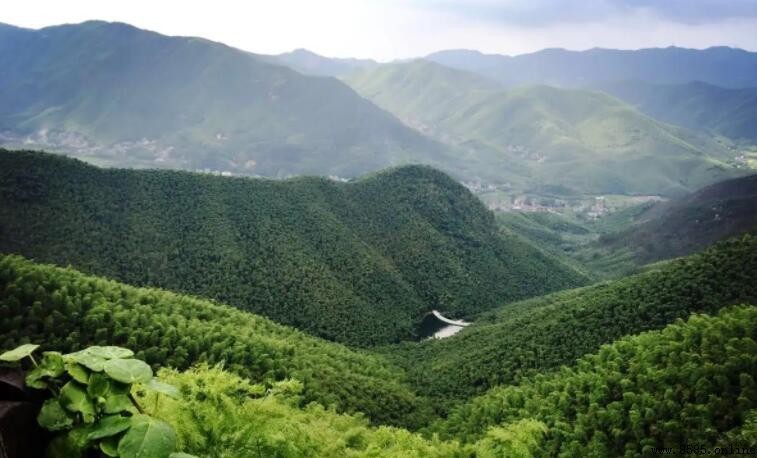德清縣景點推薦：探索歷史與自然之美