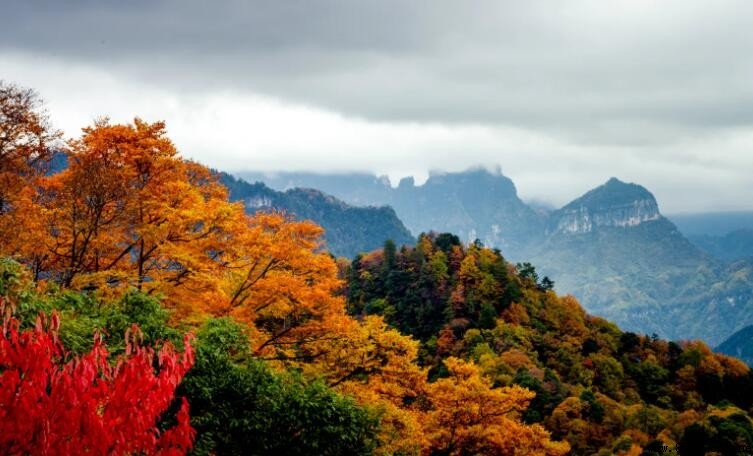 南江縣景點推薦｜光霧山與米倉山等必遊景點