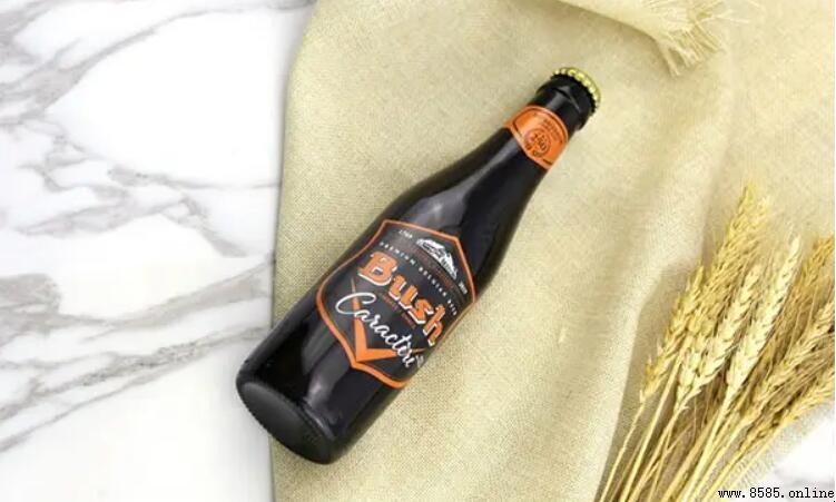 啤酒過期多久不能喝？保質期標準與飲用安全解析