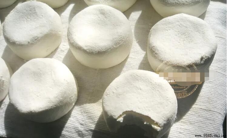酸奶疙瘩能減肥嗎?解析酸奶疙瘩的熱量與食用建议