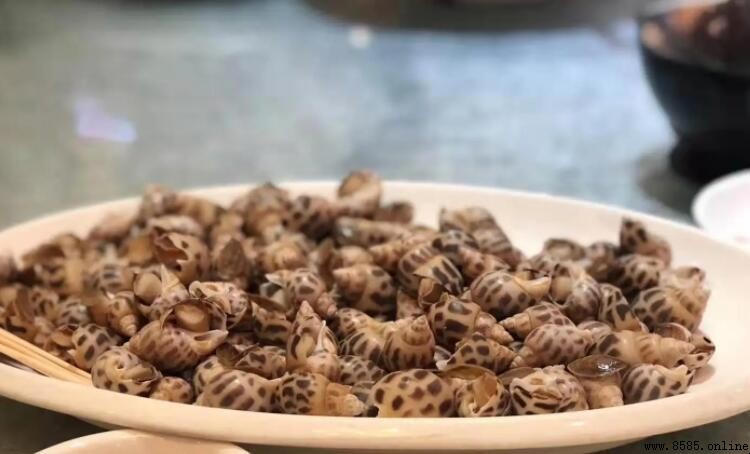 花螺鹽水泡多久？正確浸泡與清洗步驟