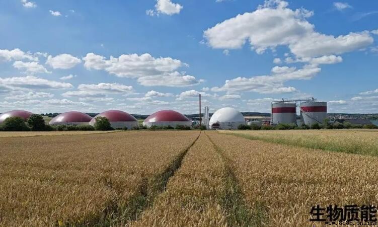 生物質能是否屬於可再生能源?解析其來源與重要性