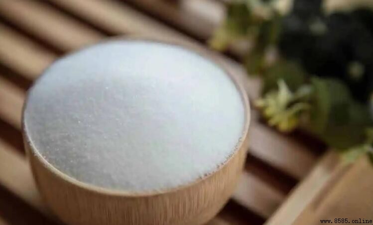 食用鹽可以代替魚鹽嗎?解析兩者差異及正確使用方法