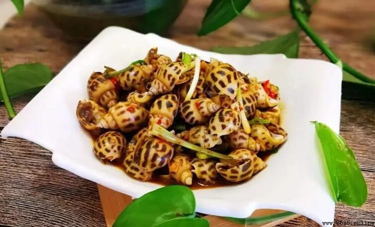 煮花螺用冷水還是熱水?正確處理方法大公開