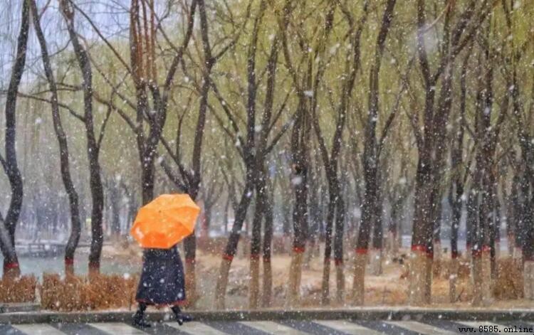 雨夾雪和下雪有哪些區別